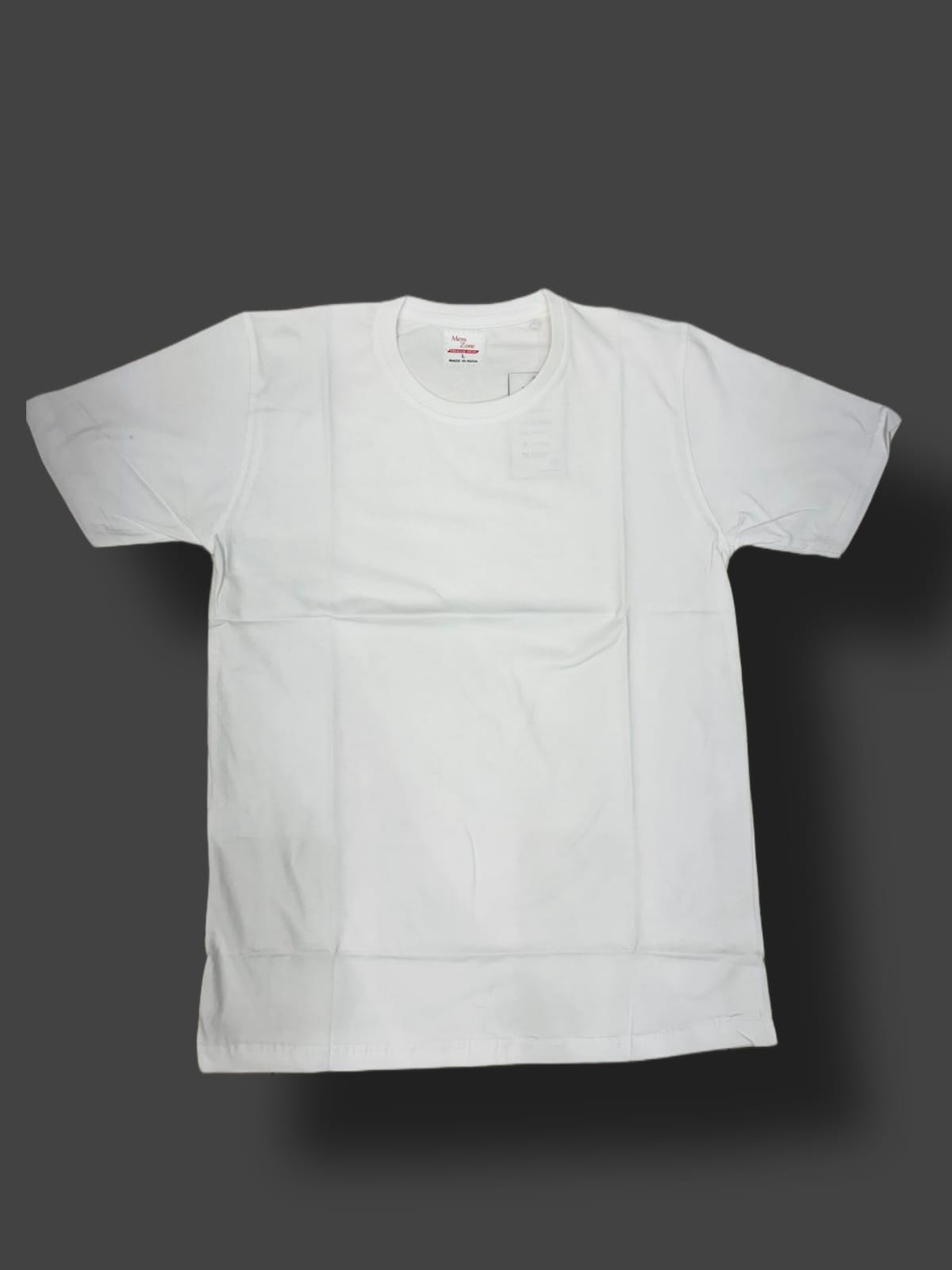 Art 2313 MENS T-SHIRT